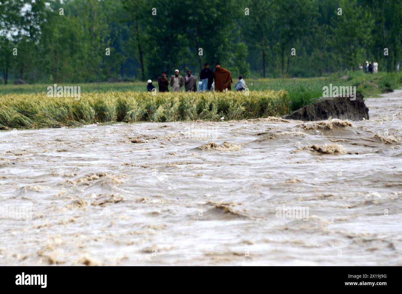 Peshawar, Peshawar, Pakistán. 15 de abril de 2024. Las condiciones climáticas extremas causan víctimas en Pakistán.PESHAWAR, PAKISTÁN - 15 DE ABRIL: La gente observa las inundaciones en el río Charsadda debido a las fuertes lluvias en Peshawar, Pakistán el 15 de abril de 2024. Según la Autoridad Provincial de Gestión de Desastres de Khyber Pakhtunkhwa (KP), al menos 29 personas han muerto y otras siete han resultado heridas. En los últimos tres días, varias provincias se vieron afectadas por incidentes relacionados con rayos y fuertes lluvias. (Imagen de crédito: © Hussain Ali/ZUMA Press Wire) USO EDITORIAL SOLAMENTE! No para USO comercial! Foto de stock