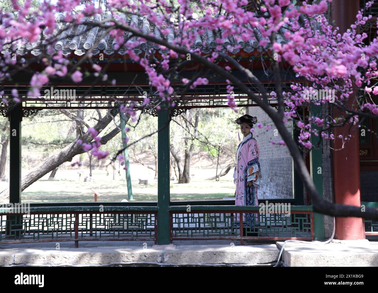Chengdeu, provincia china de Hebei. 17 de abril de 2024. Una mujer aparece en el Imperial Summer Resort en Chengde, provincia de Hebei, al norte de China, el 17 de abril de 2024. Crédito: Liu Huanyu/Xinhua/Alamy Live News Foto de stock