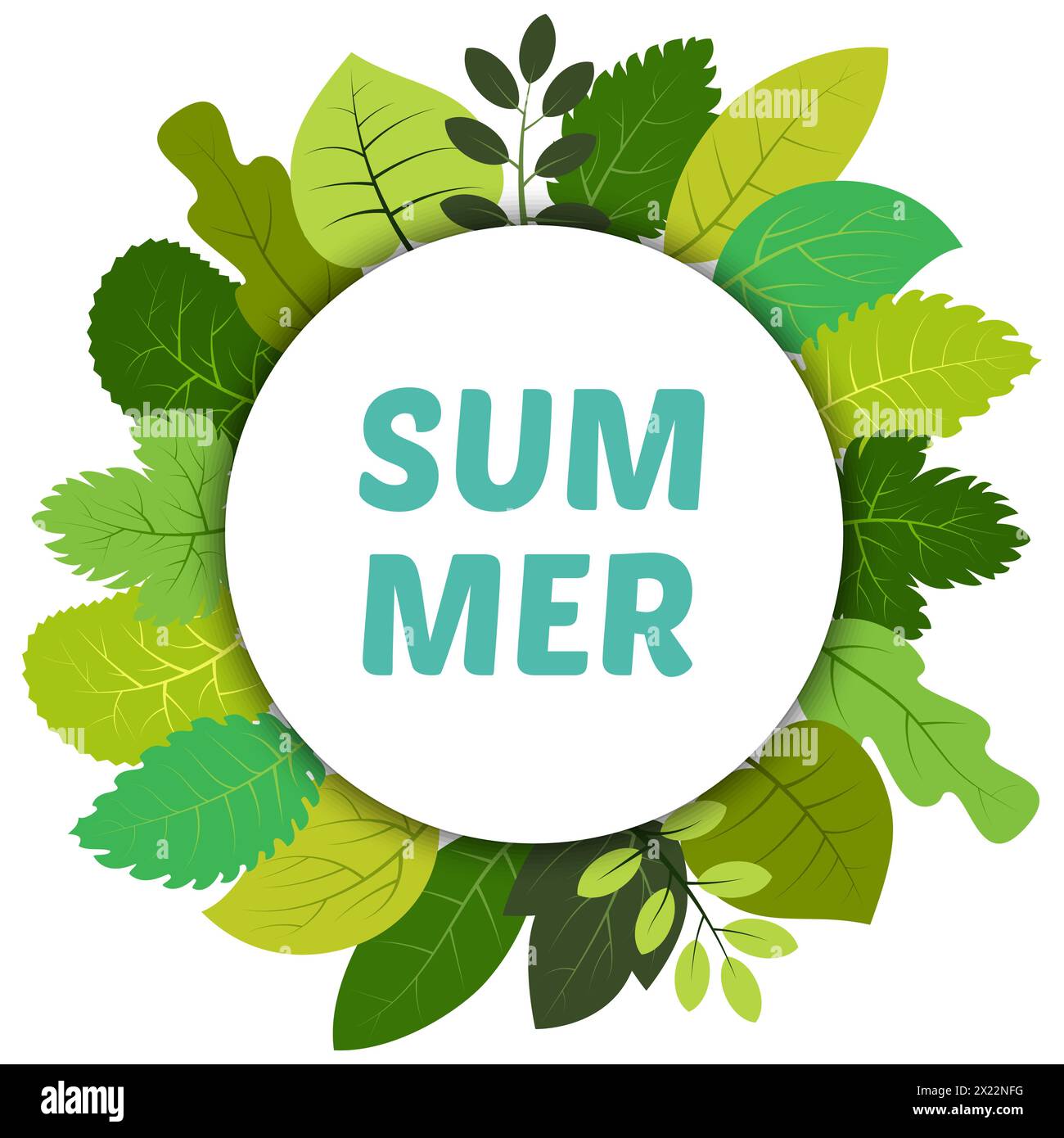Hojas verdes de verano bajo etiqueta redonda blanca e inscripción verano. Tarjeta de vector con hojas verdes aisladas sobre fondo blanco Ilustración del Vector
