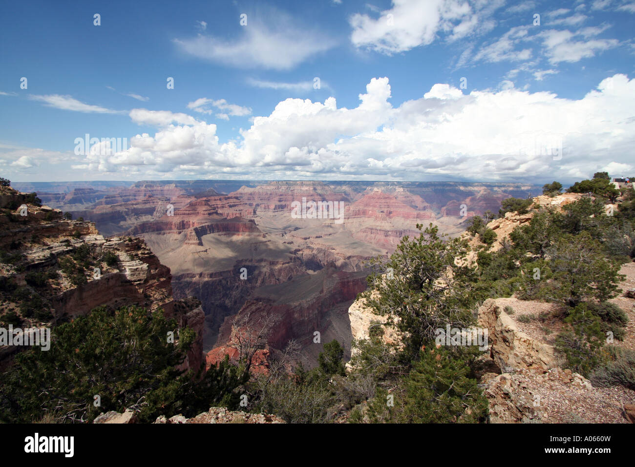 Grand Canyon Arizona Foto de stock