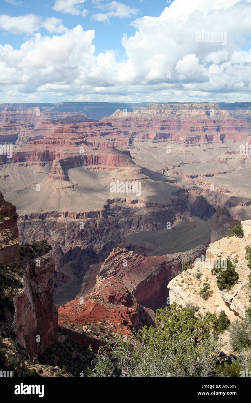 Grand Canyon Arizona Foto de stock