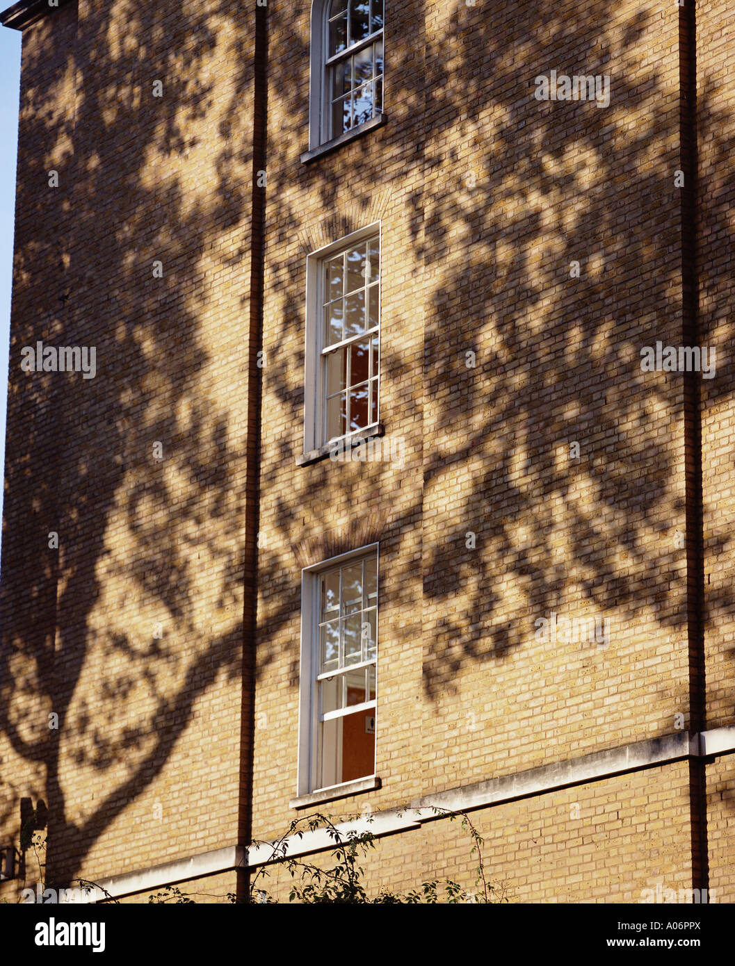 Windows en el extremo de la terraza barristers oficinas Grays Inn London Fields Foto de stock