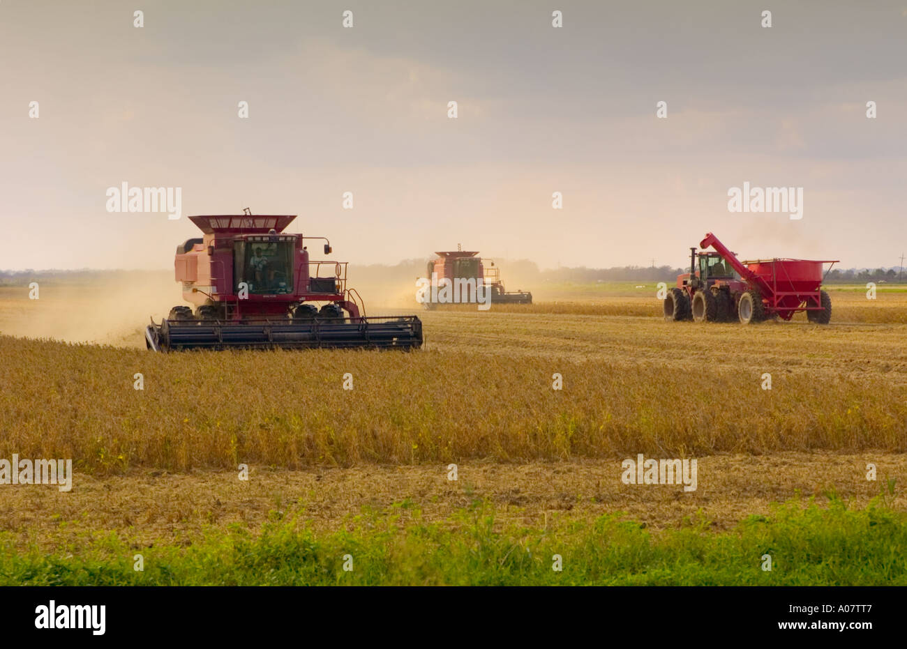 Glifosato fotografías e imágenes de alta resolución Alamy