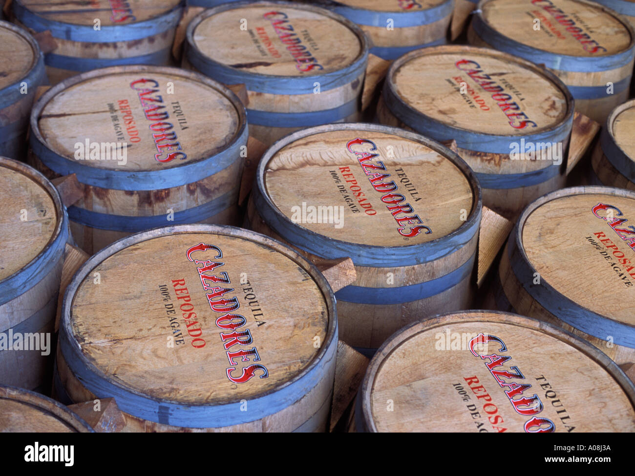 Envejecimiento barriles de Tequila Cazadores Arandas México la bebida