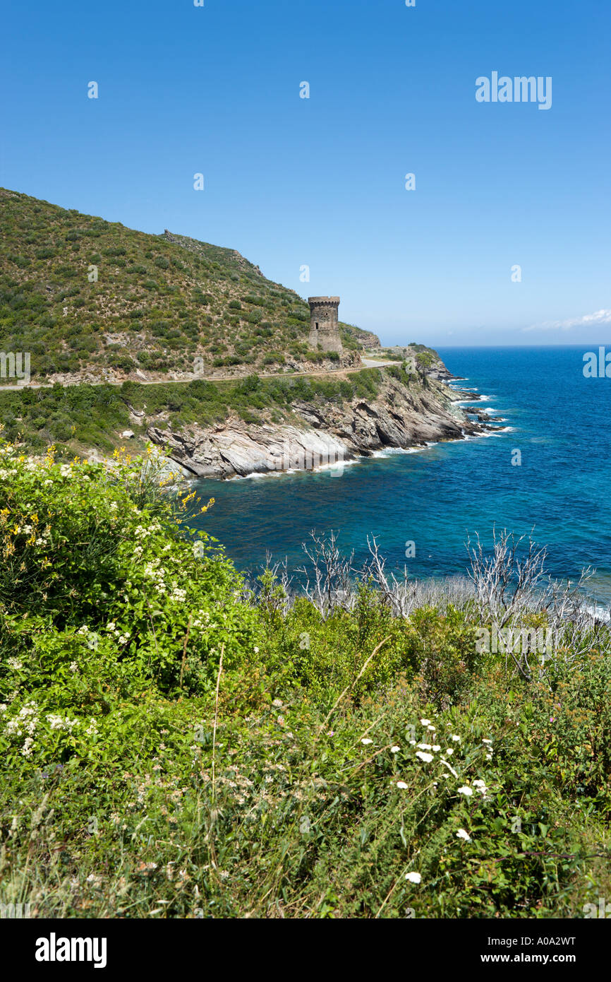 Los genoveses atalaya en la carretera de la costa cerca de Macinaggio, Meria, Cap Corse, Córcega, Francia Foto de stock