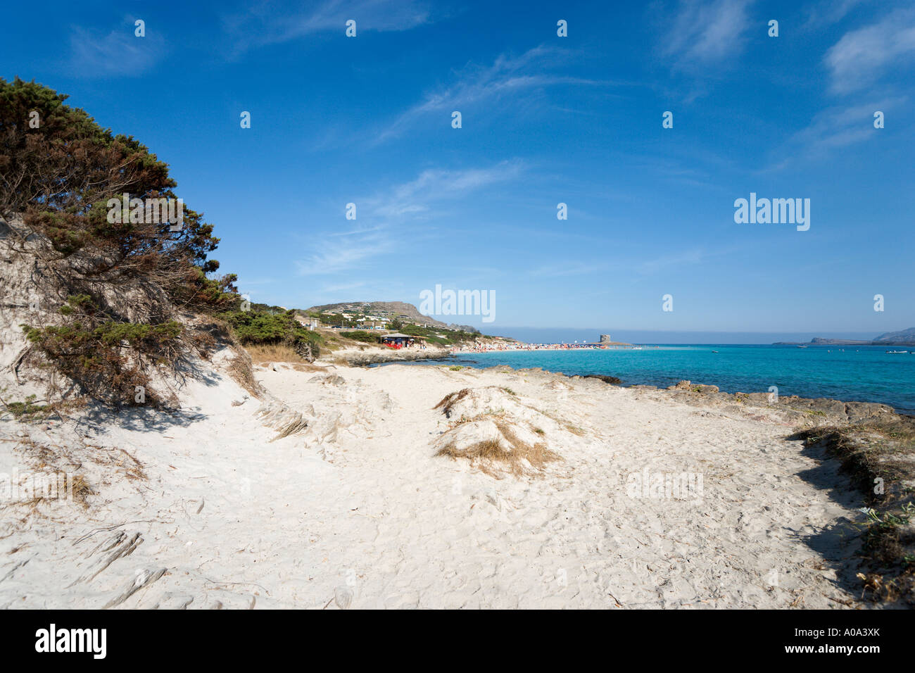 Playa de la Pelosa, Stintino, del Capo Falcone, Cerdeña, Italia Foto de stock