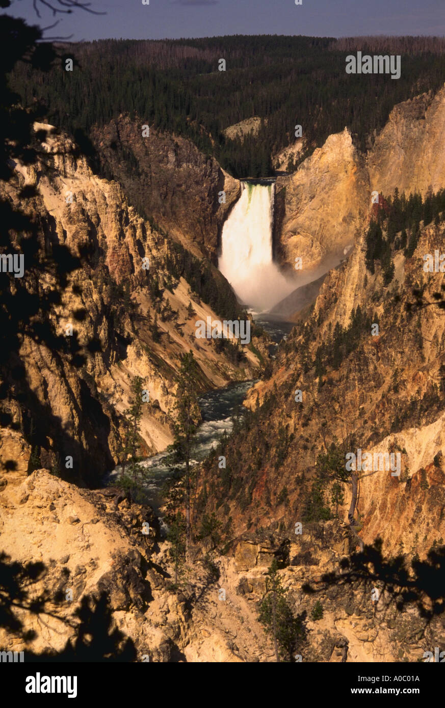 Lower Falls en Grand Canyon Parque Nacional Yellowstone, Wyoming Foto de stock