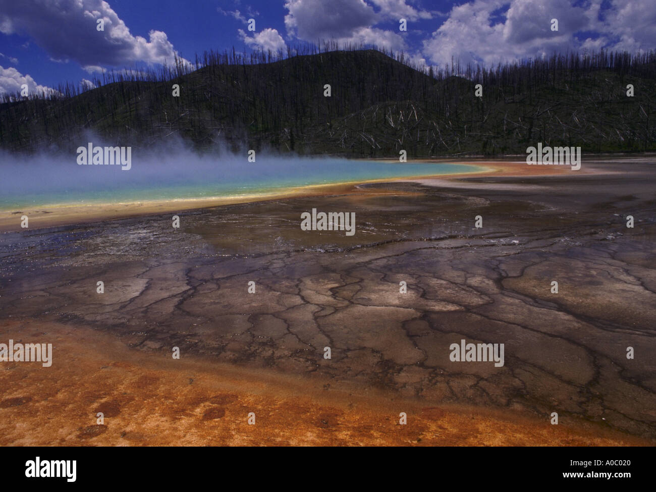 Fountain Paint Pot en el Parque Nacional de Yellowstone. Foto de stock