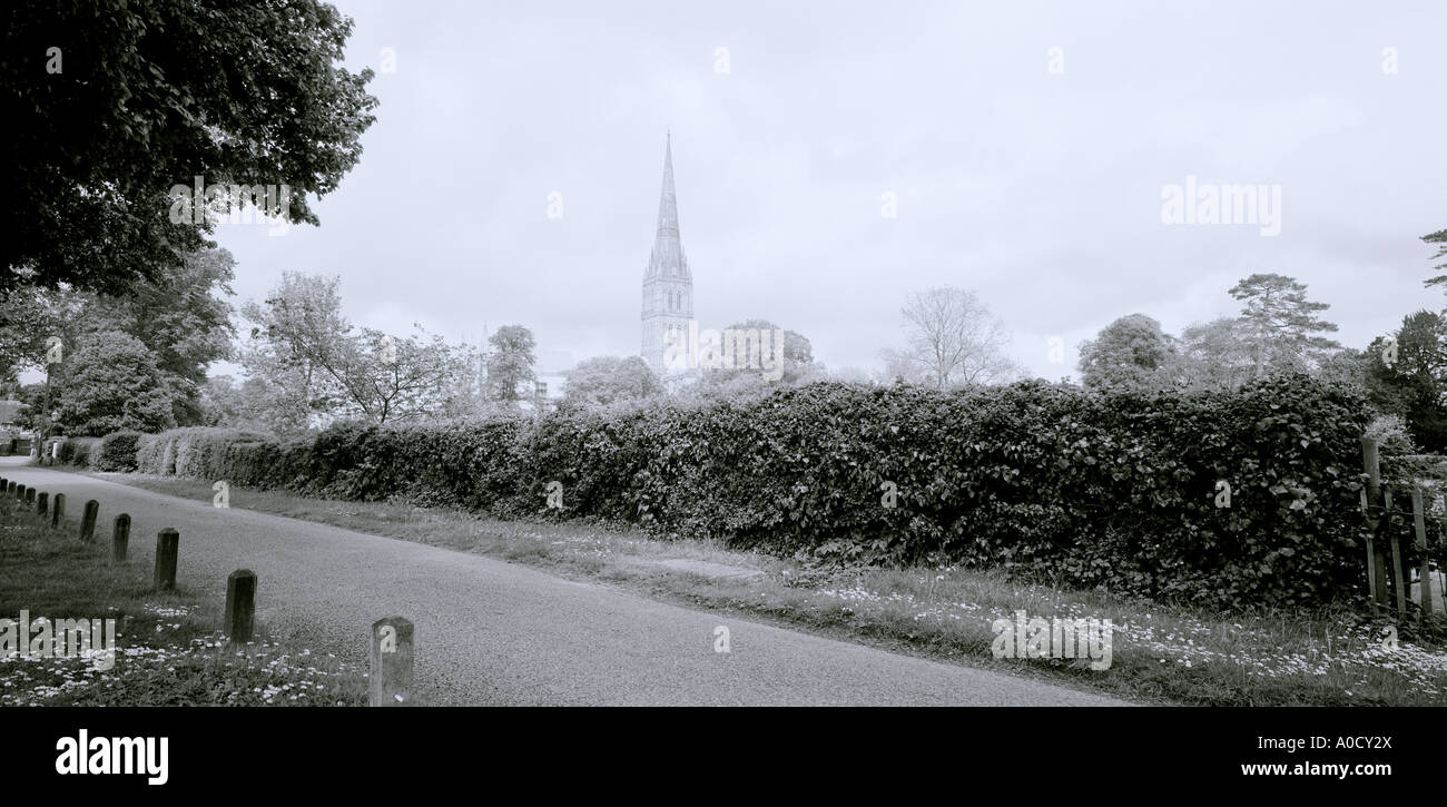 La Catedral de Salisbury en Salisbury en Wiltshire en Inglaterra en Gran Bretaña en el Reino Unido. Paisaje idílico paisaje idílico temporadas Foto de stock