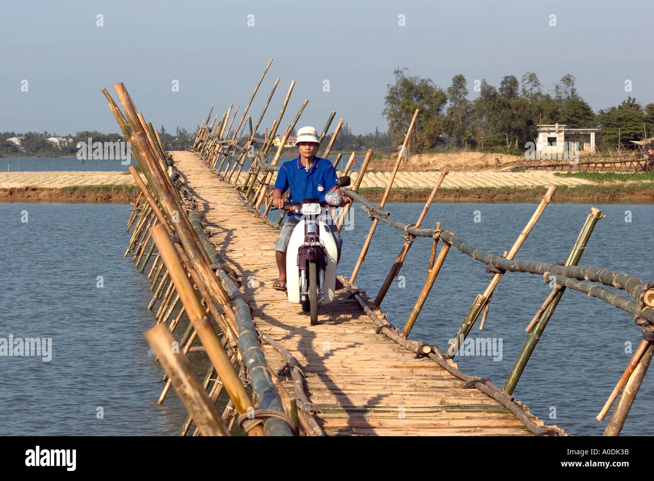 Vietnam Cam Kim transporte insular hombre caballo pequeña moto ciclomotor  cruzando el puente de bambú la vinculación de dos pequeñas islas Fotografía  de stock - Alamy