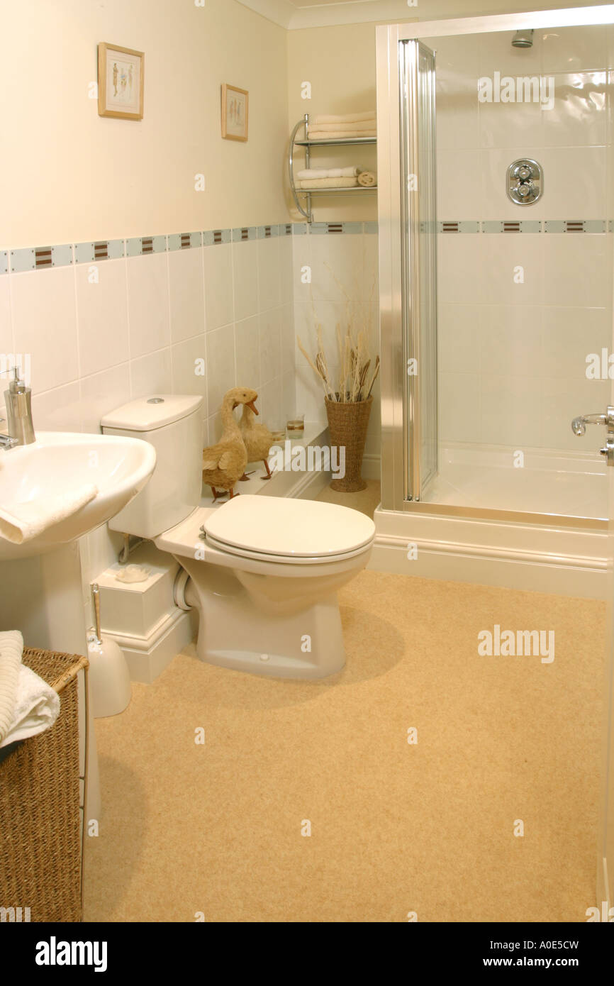 UK showhome interior equipado, moderno baño revestido de azulejos  Fotografía de stock - Alamy