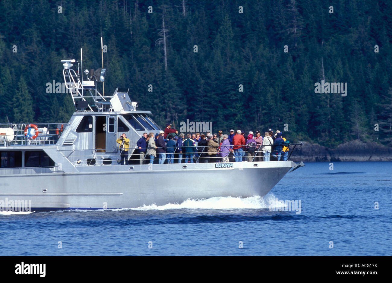Los ecoturistas whalewatchers Isla Vancouver Canadá Foto de stock