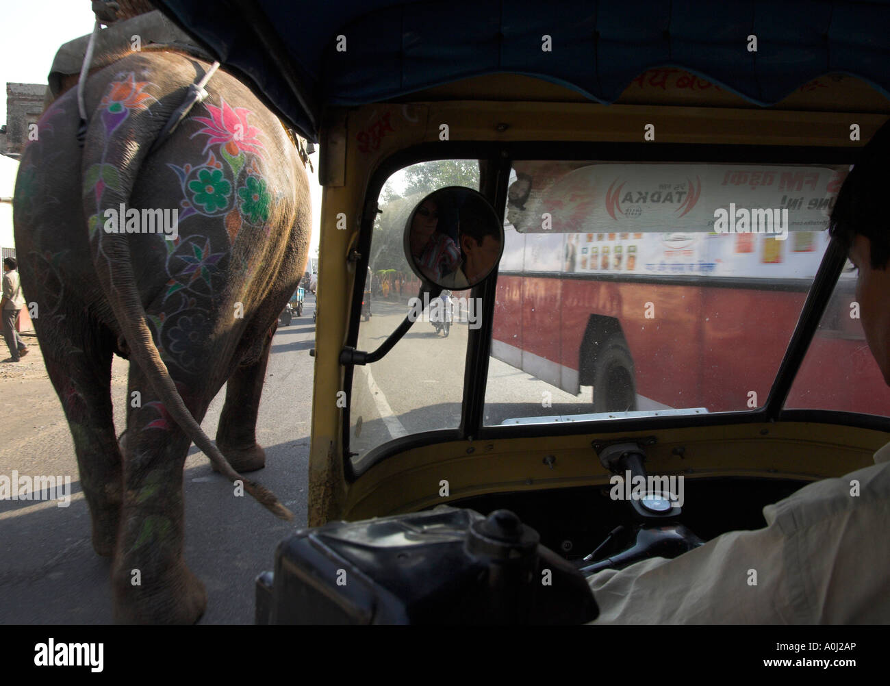 La India, Rajastán, Jaipur, el elefante y el autobús en la carretera visto  desde una moto triciclo Fotografía de stock - Alamy