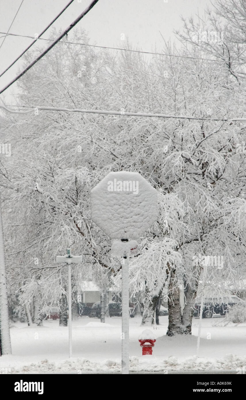 Cierre de la señal de pare, Snow-Covered Marysville, Michigan, EE.UU. Foto de stock