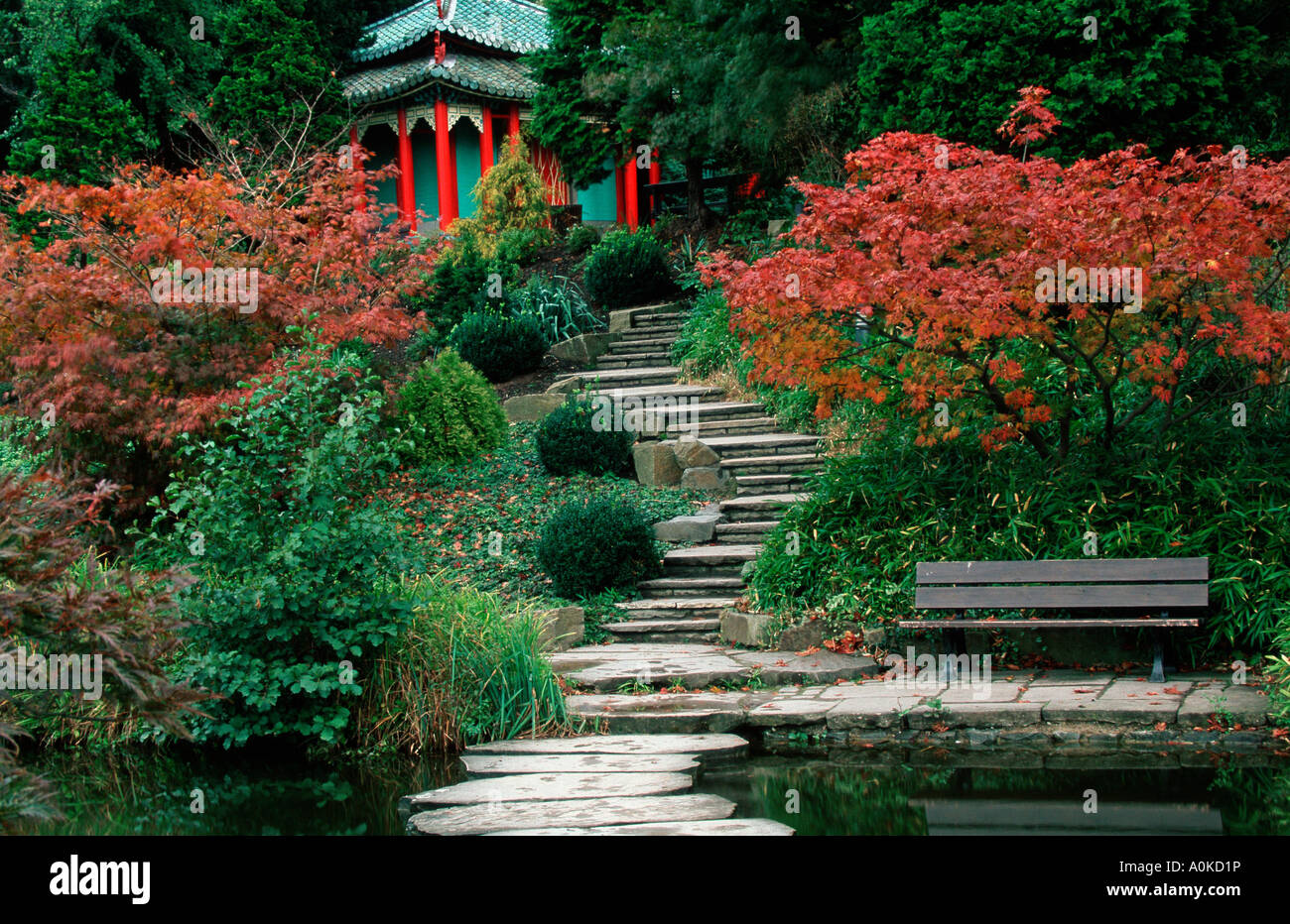 Jardin Japones Westfalenpark Dortmund Renania Del Norte Westfalia