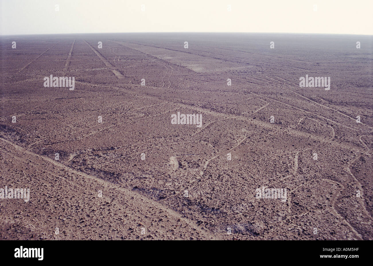 Líneas de Nasca en Perú grabados en la Pampa Colorada sands Fotografía de  stock - Alamy