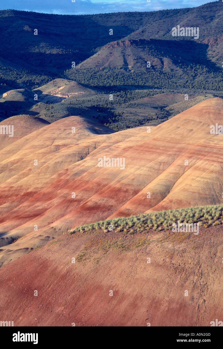 Cerros pintados John Día yacimientos fósiles Monumento Nacional de Oregon Oriental EE.UU. cambio de color con la hora del día el clima contenido de humedad Foto de stock