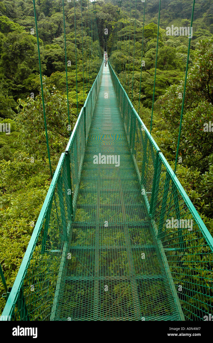 Puente Colgante desde arriba en la zona de Monteverde, Canopy, Santa Elena  de Monteverde, Costa Rica, Centroamérica Fotografía de stock - Alamy