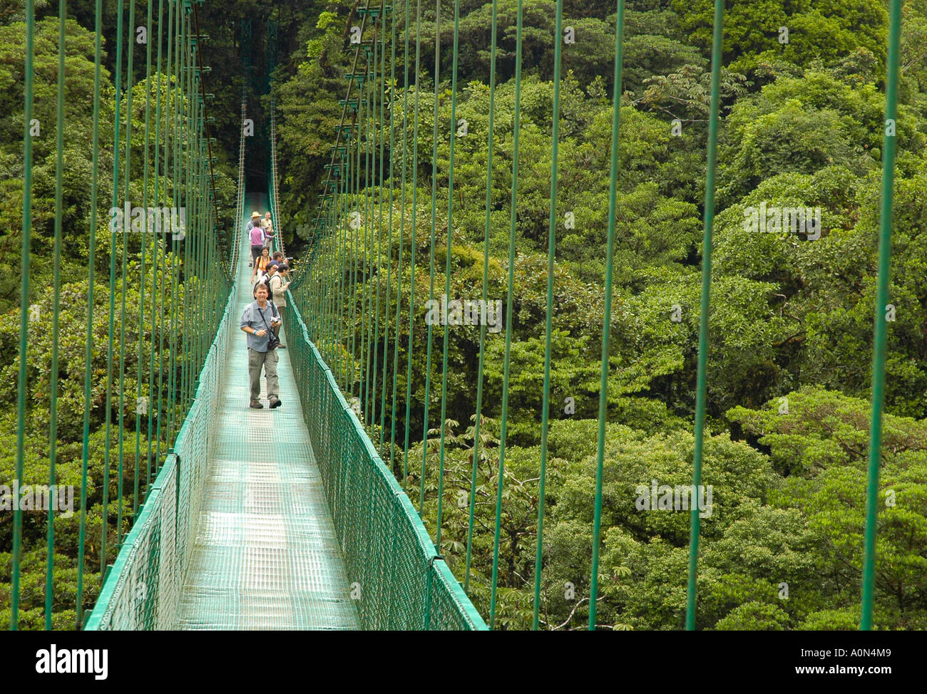 Turista sobre Puentes Colgantes, Canopy en Monteverde, Santa Elena de  Monteverde, Costa Rica, Centroamérica Fotografía de stock - Alamy