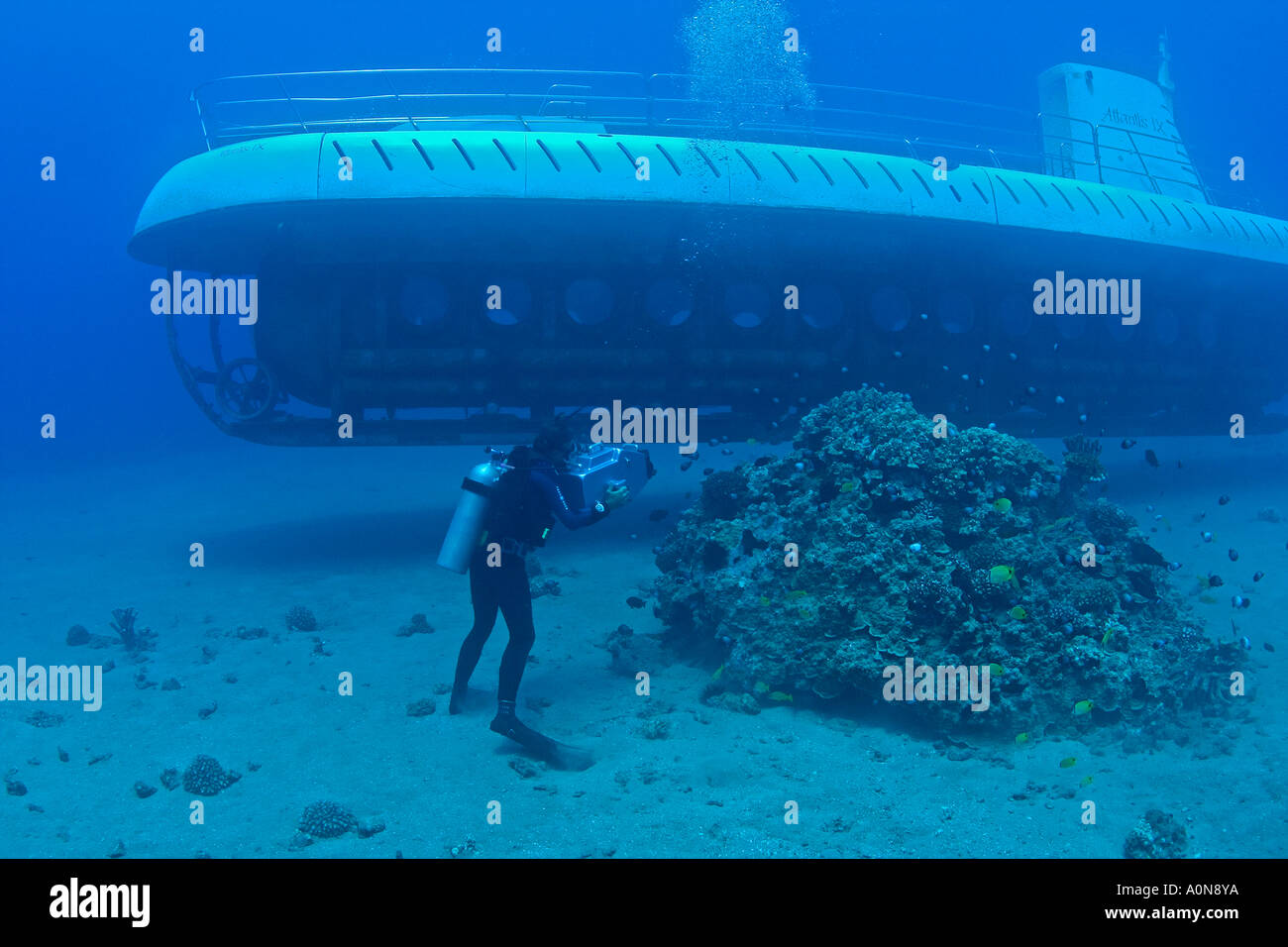 Este buzo (MR) es la filmación de un submarino Atlantis en la costa de Maui, Hawaii. Foto de stock