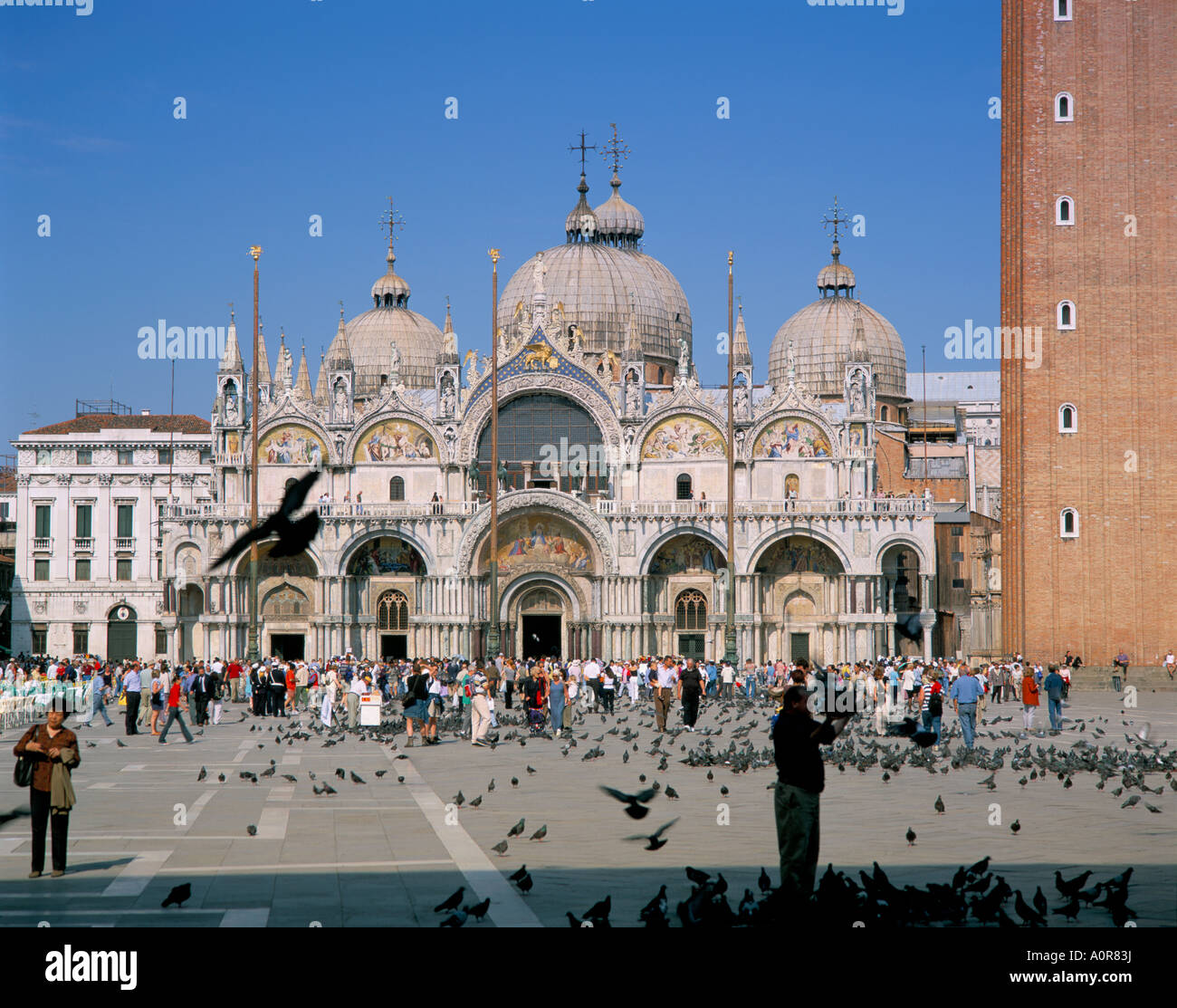 La Basílica de San Marcos, San Marcos de la plaza San Marcos Venecia Veneto Italia Europa Foto de stock
