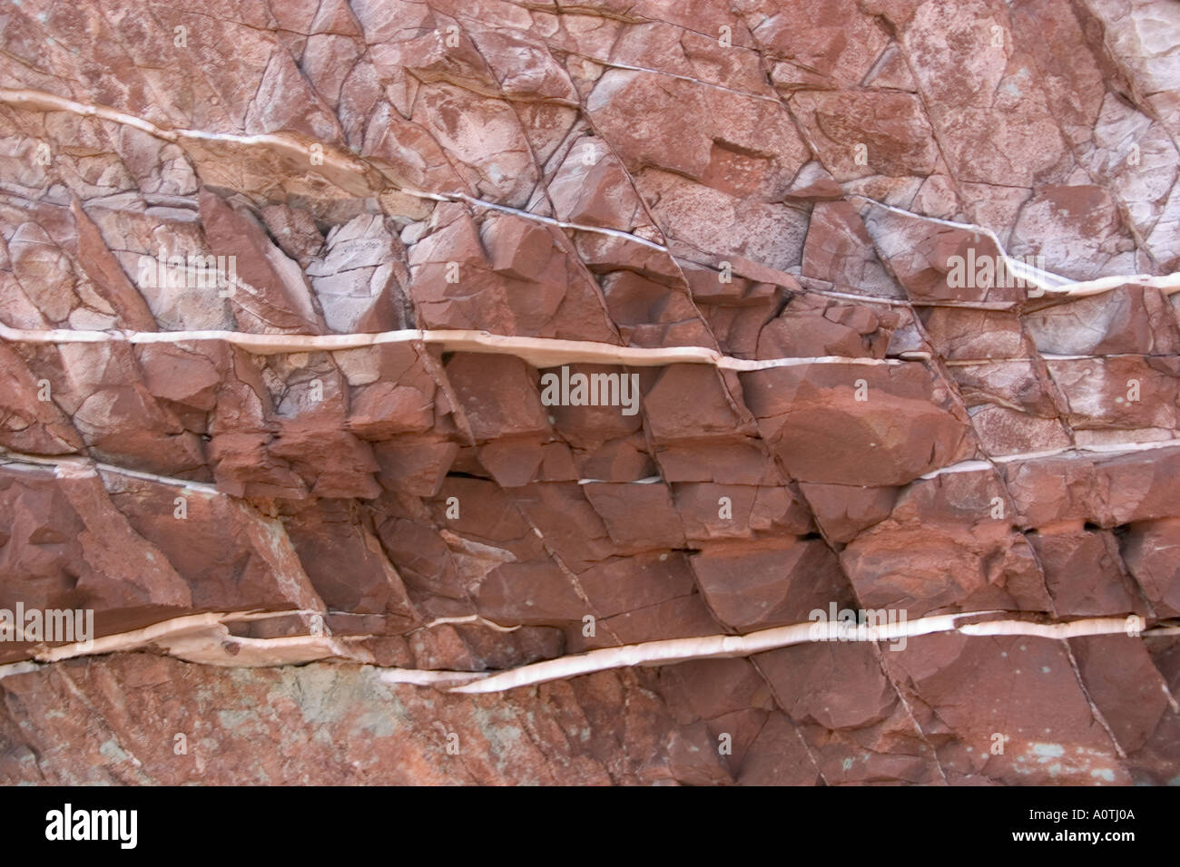 Venas de alabastro en roca sedimentaria Foto de stock