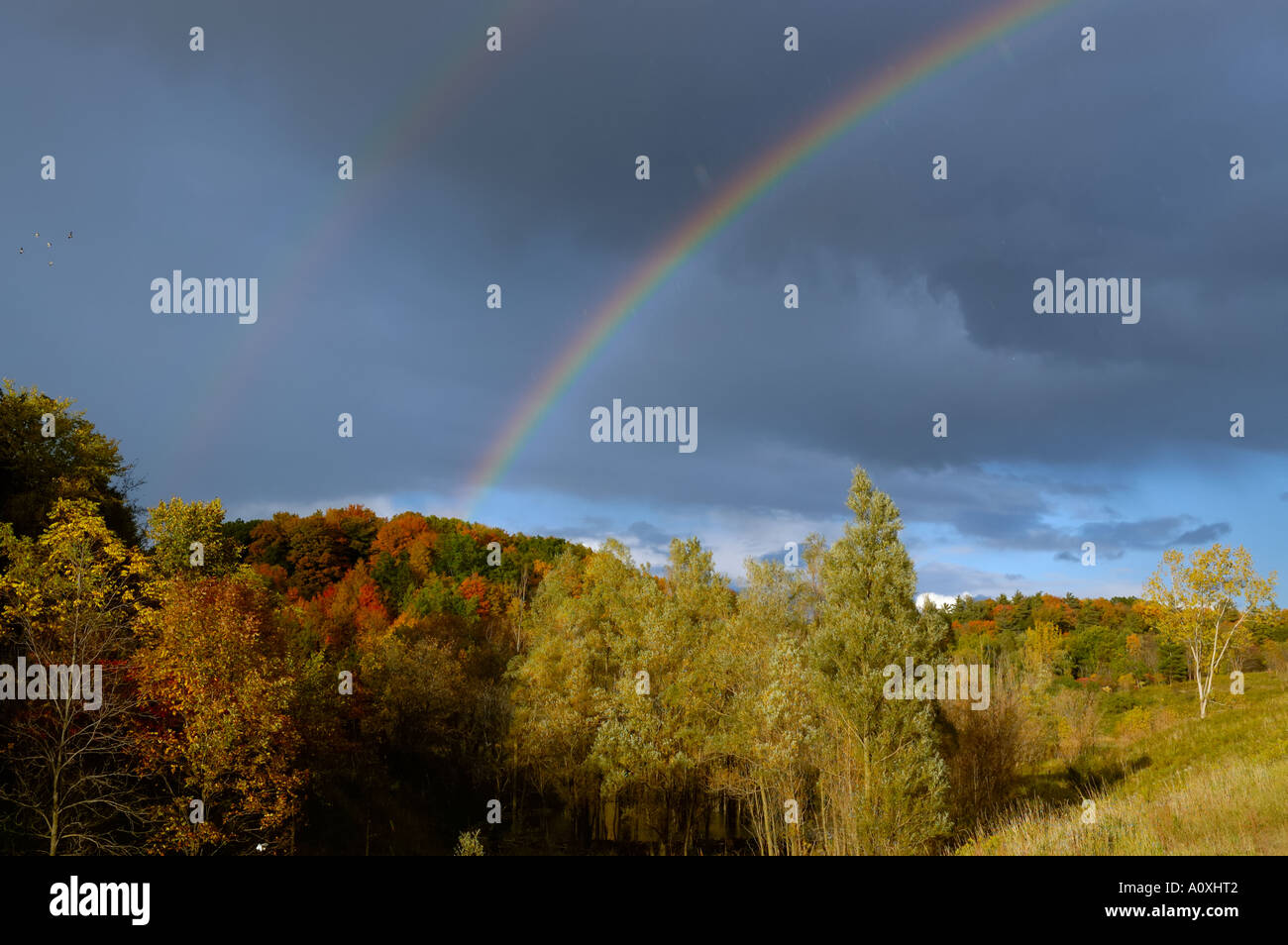 Nubes oscuras y doble arco iris sobre otoño paisaje Ontario Foto de stock