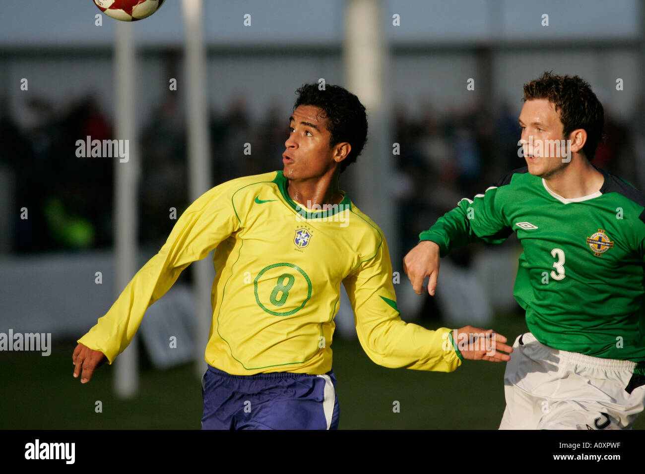 Francesco Zampano Jogador Frosinone Durante Primeira Partida Campeonato  Italiano Futebol — Fotografia de Stock Editorial © VincenzoIzzo #464933080