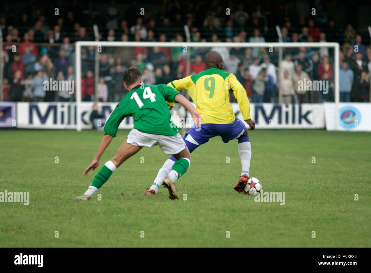 Francesco Zampano Jogador Frosinone Durante Primeira Partida Campeonato  Italiano Futebol — Fotografia de Stock Editorial © VincenzoIzzo #464933080