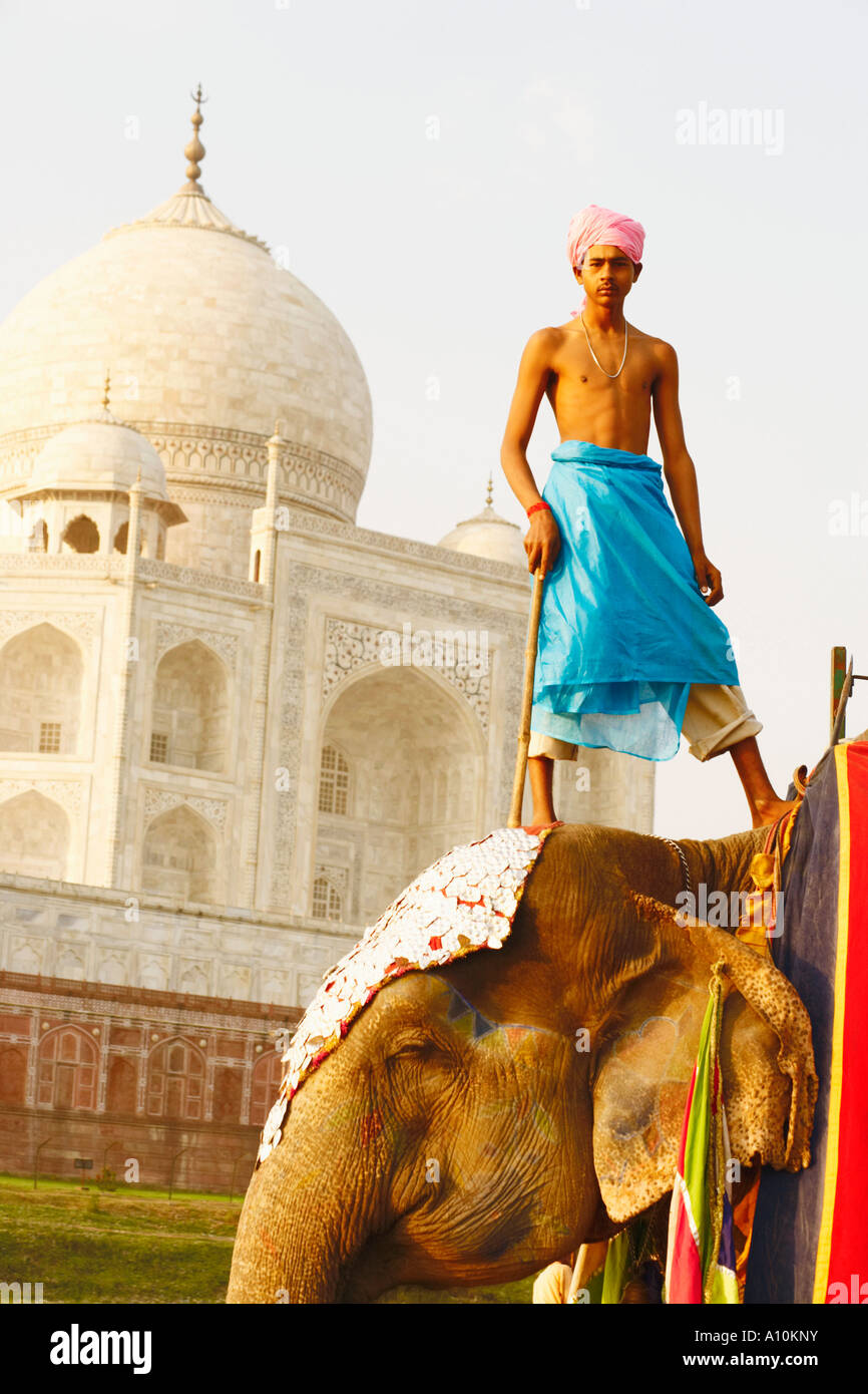 Ángulo de visión baja de un joven de pie sobre un elefante indio delante de un mausoleo, Taj Mahal, Agra, Uttar Pradesh, India Foto de stock