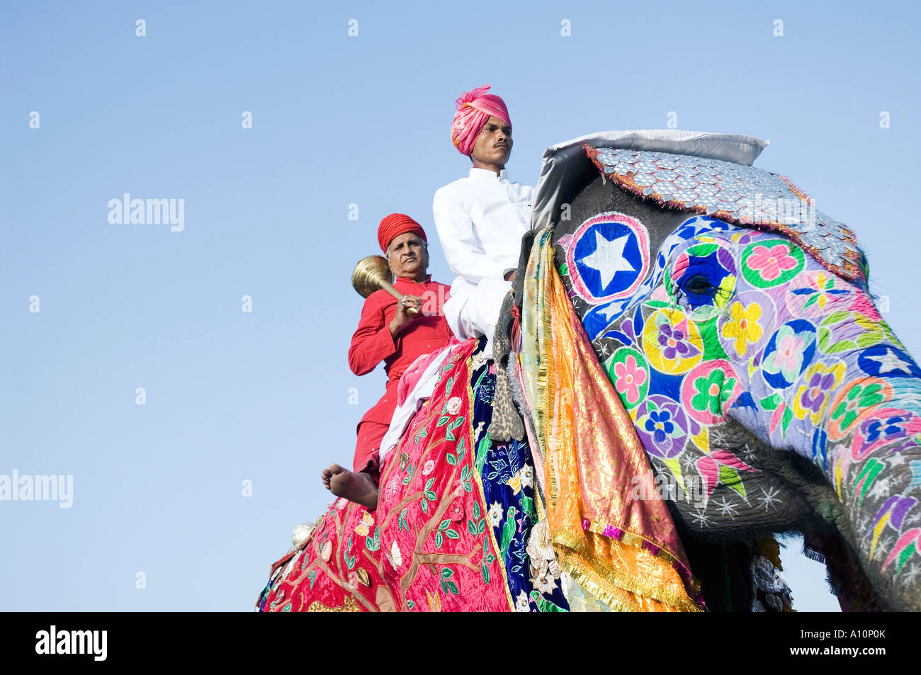 Ángulo de visión baja de un joven y un hombre senior montar en elefante, Elephant Festival, Jaipur, Rajasthan, India Foto de stock