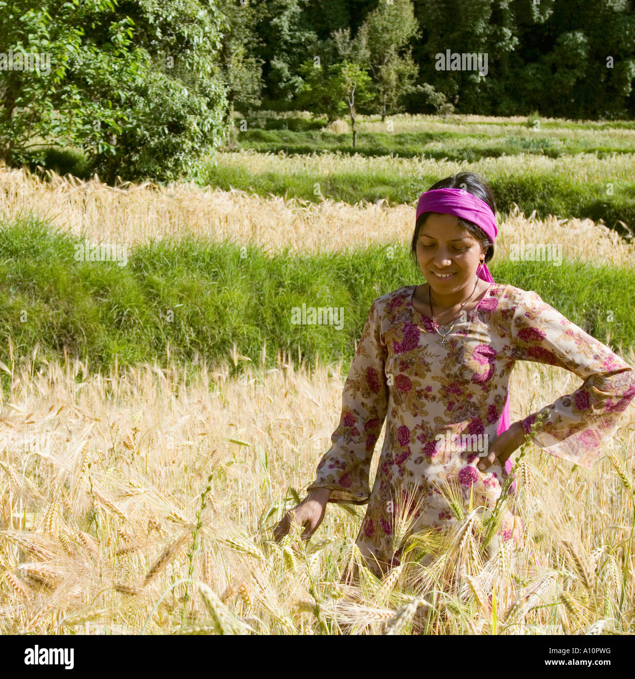 Adolescente de pie en un campo de trigo y sonriente Foto de stock