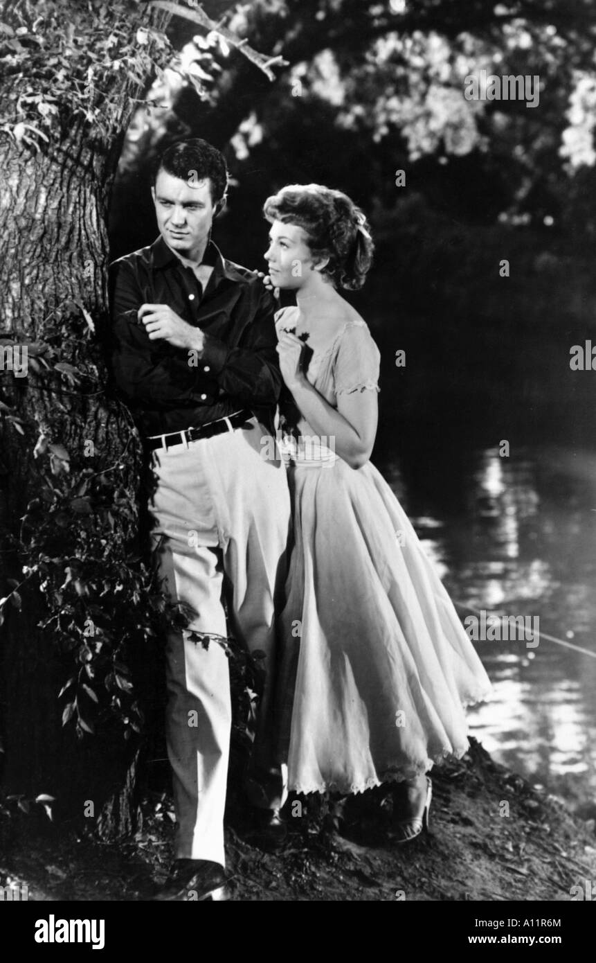 Picnic Año 1955 Director Joshua Logan Cliff Robertson Kim Novak, basada