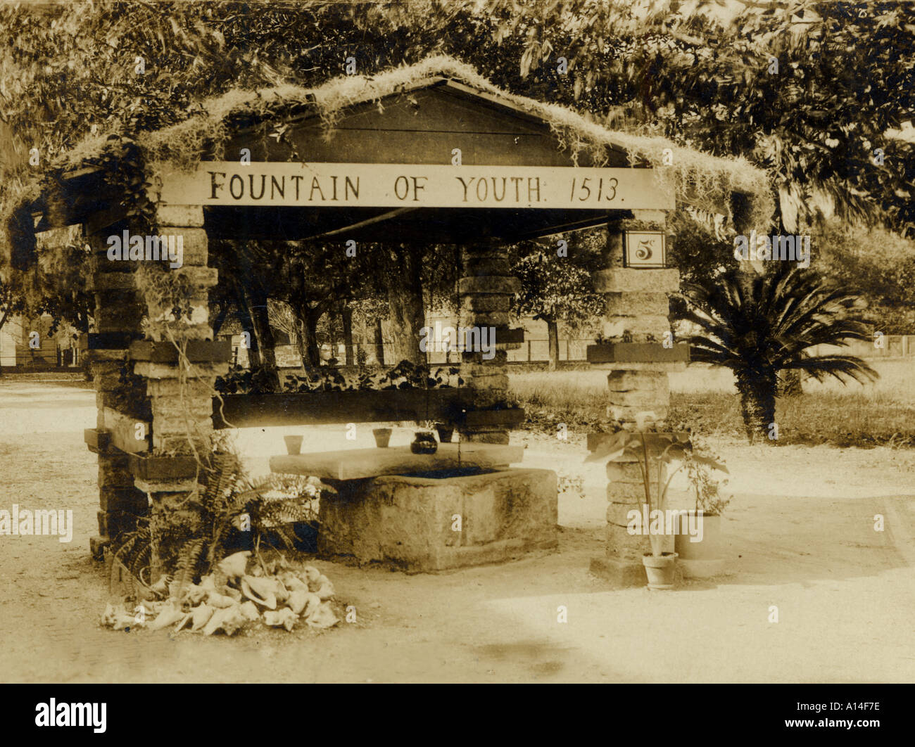 Fuente de la juventud fotografías e imágenes de alta resolución Alamy