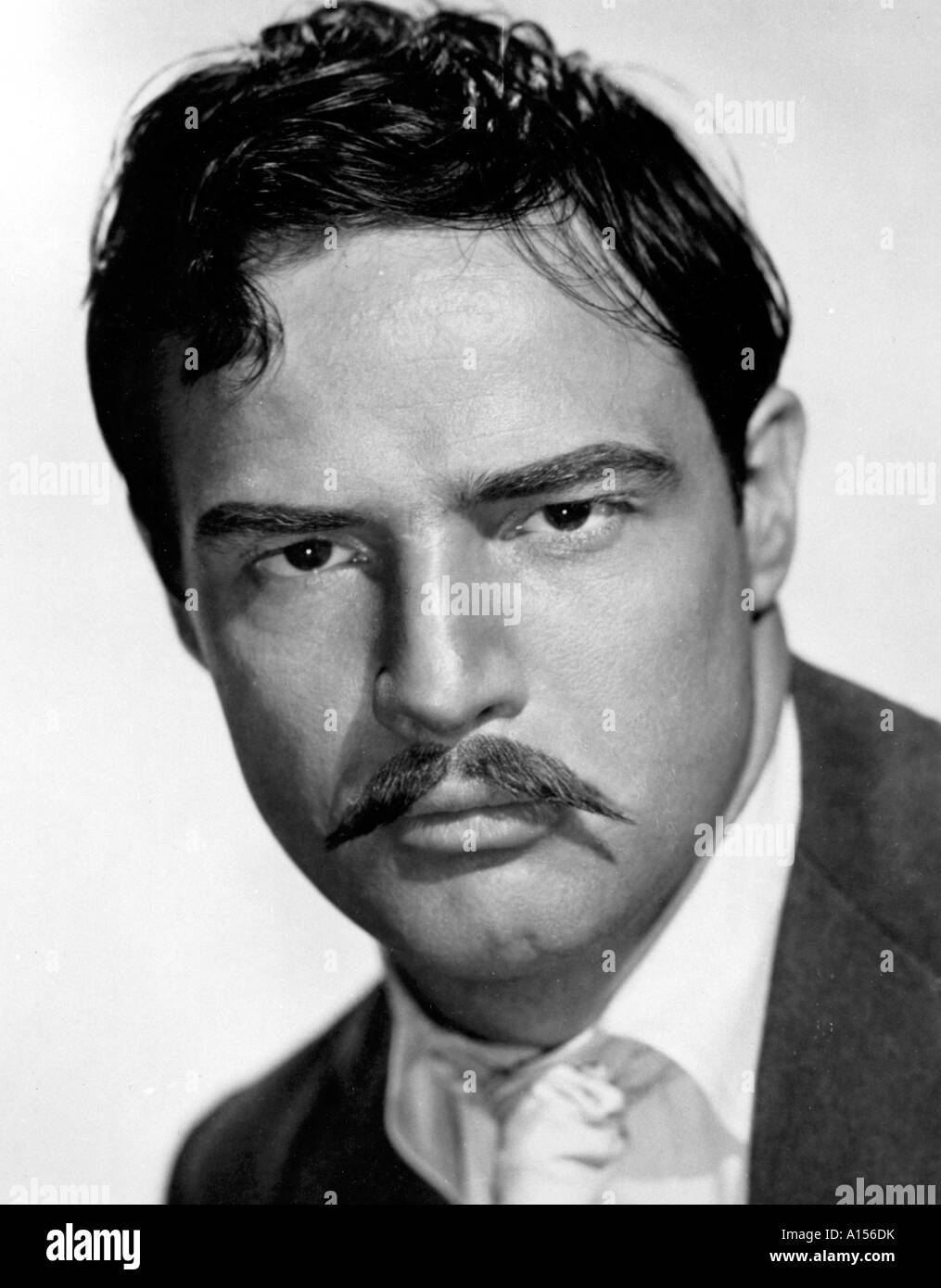 Viva Zapata Año 1951 director Elia Kazan Marlon Brando Fotografía de stock  - Alamy