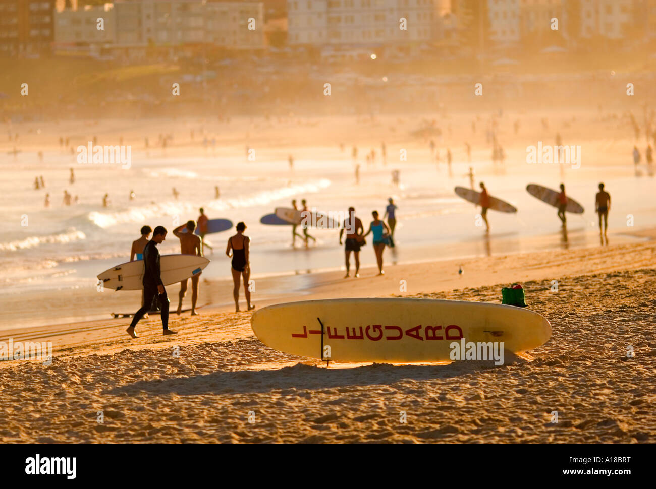 Una perfecta tarde de verano en Bondi Beach, Sydney, Australia. Los surfistas y bañistas disfrutan de la luz de la tarde de oro. Foto de stock