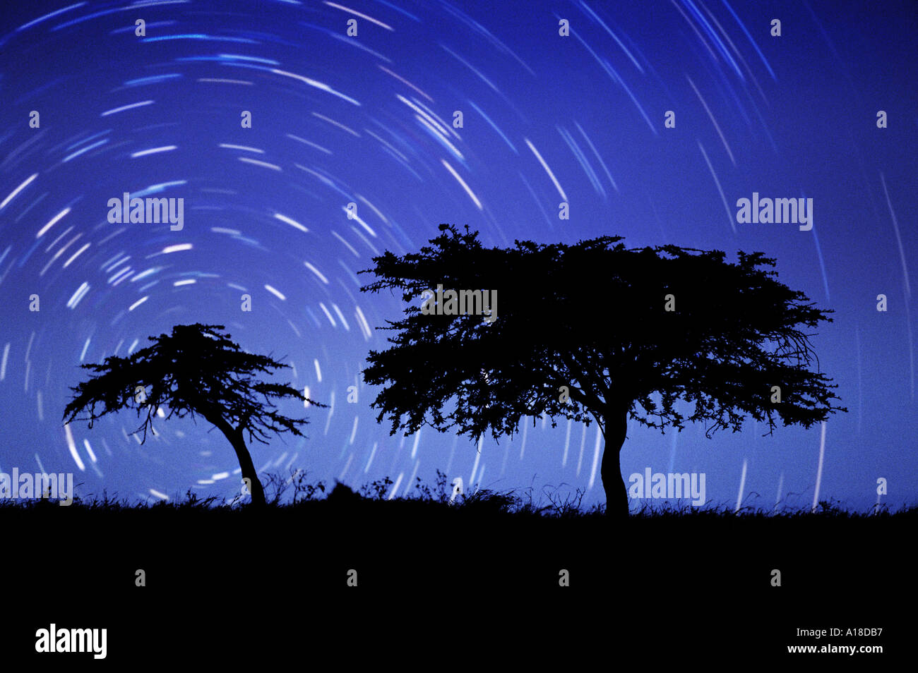 La larga exposición del cielo nocturno con estrellas Namibia Foto de stock