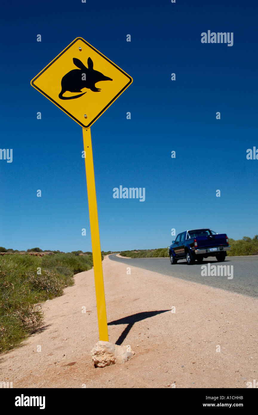 Señal de Carretera amarilla de advertencia del peligro Bilby, en el oeste de Australia. Foto de stock