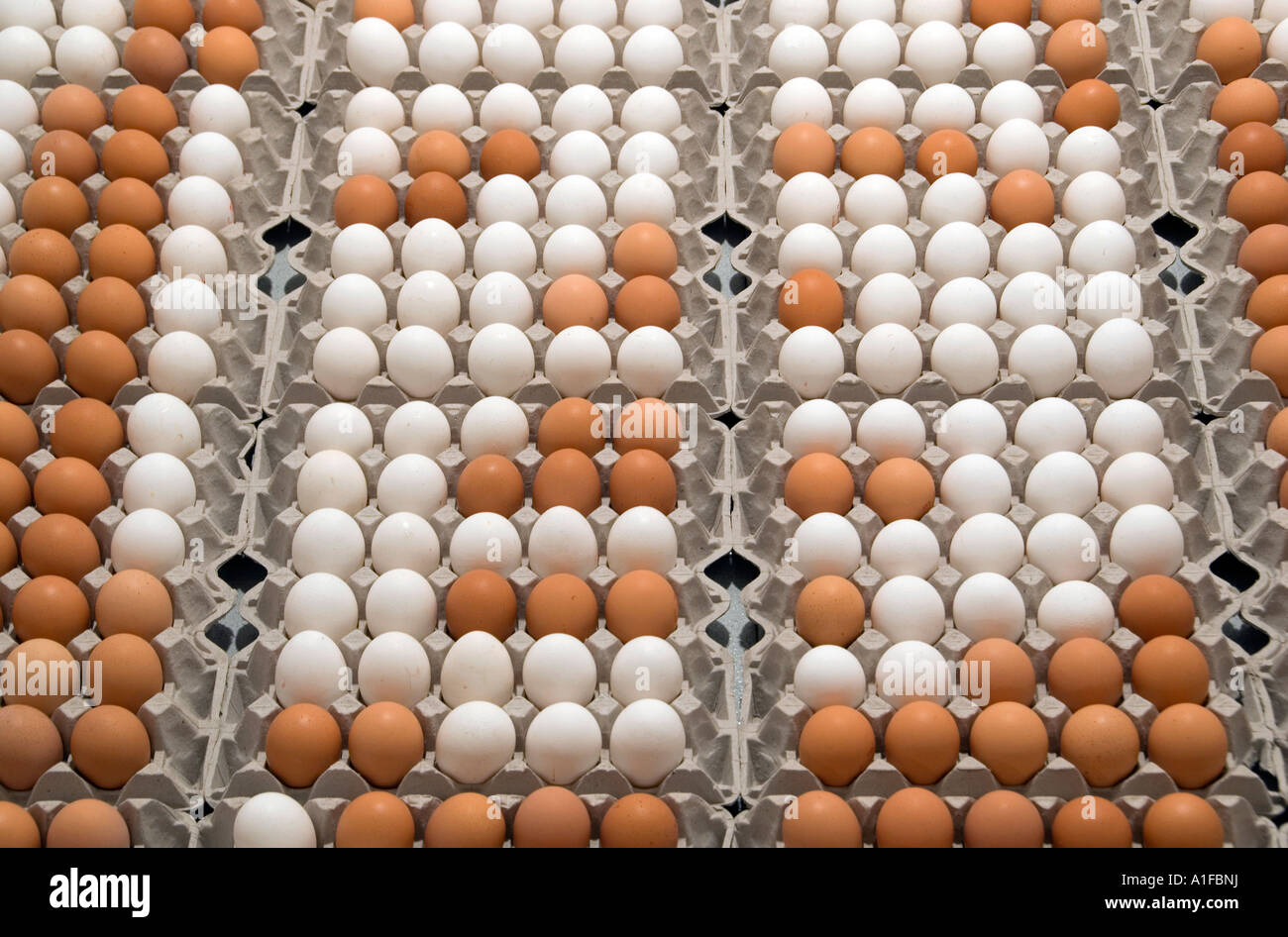 Pila de huevos de gallina en bandejas Foto de stock