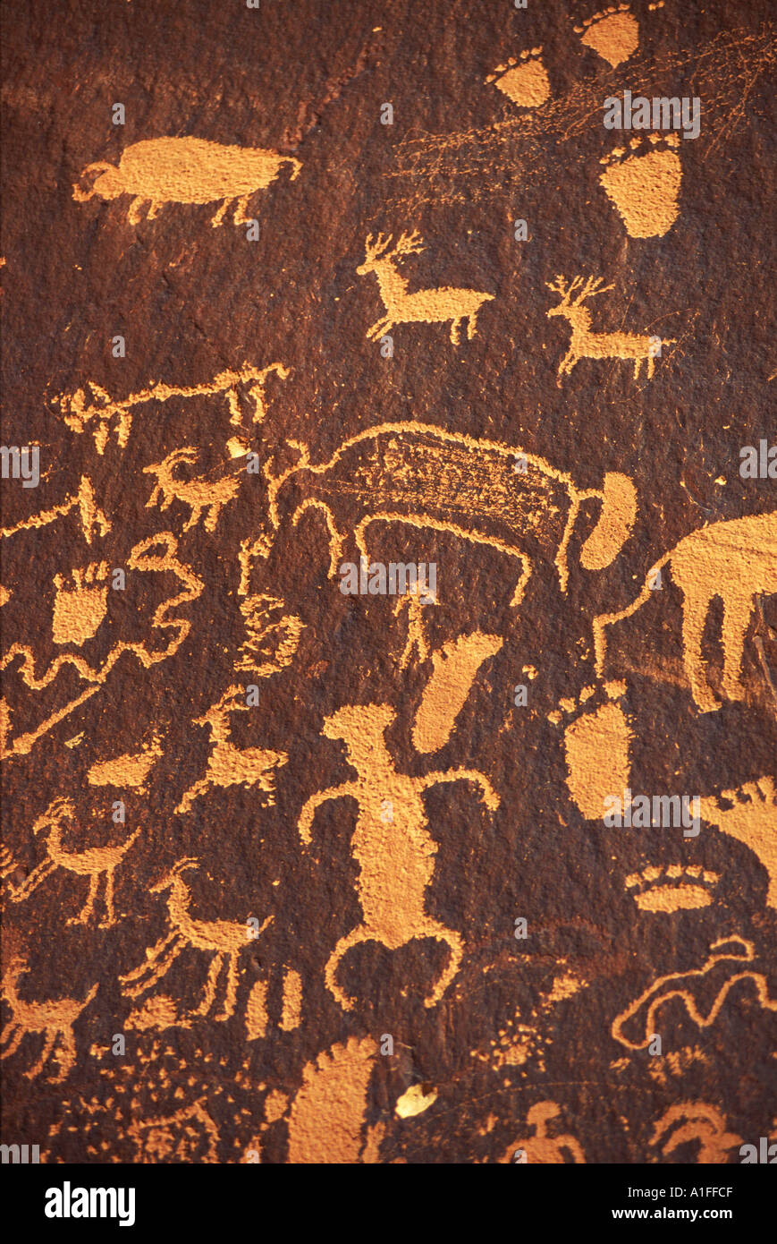 Rock Petroglifos de huellas y animales en la roca del periódico monumento histórico en el estado de Utah, EE.UU. G Hellier Foto de stock