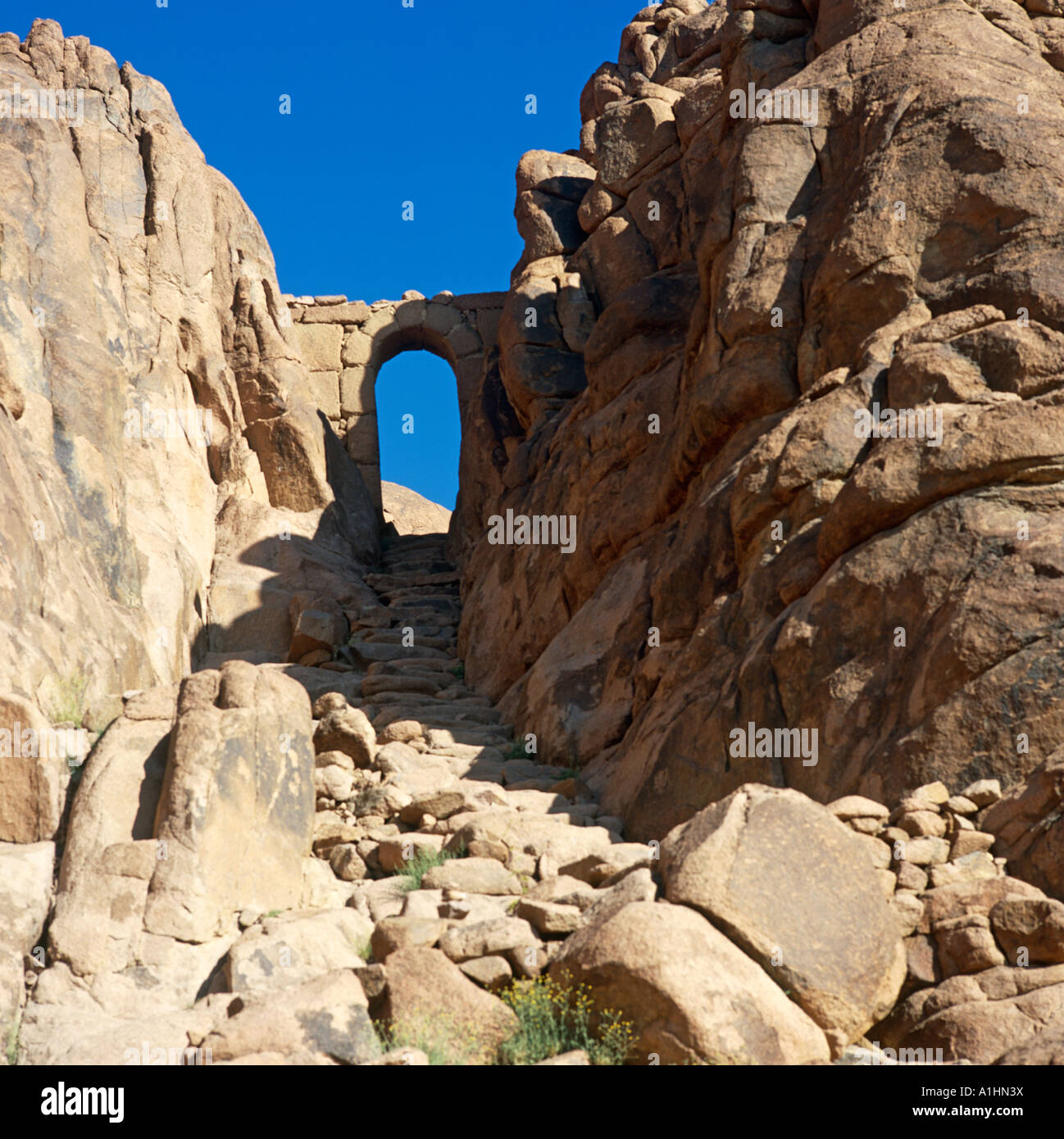 Elías Cuenca del monte Sinaí Egipto África del Norte Fotografía de stock -  Alamy