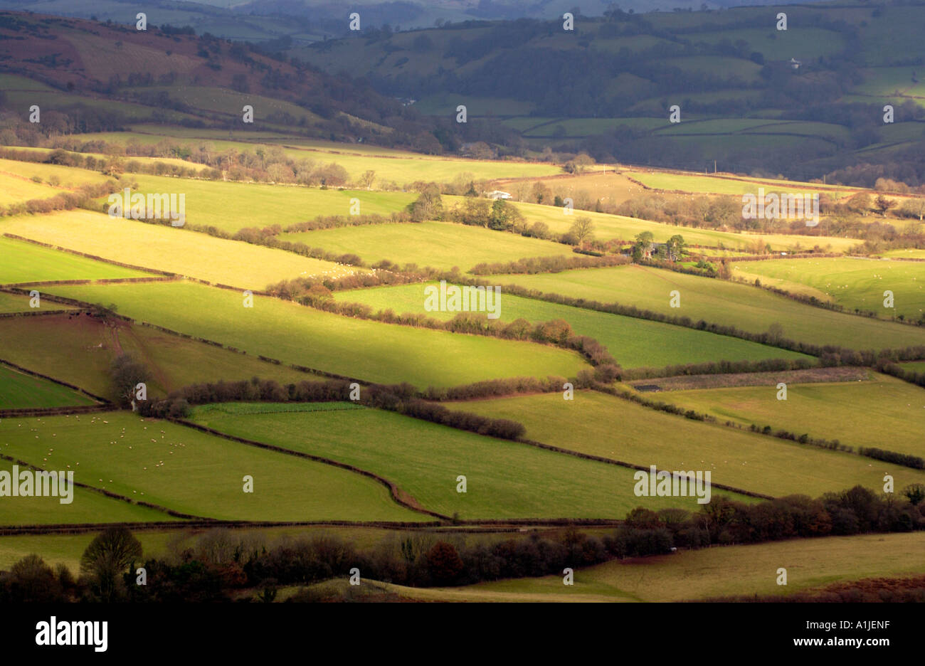Ver más tierras de cultivo, resaltada en el sol de invierno, en el curso alto del río Usk Valley, cerca de Brecon Powys en Gales UK Foto de stock