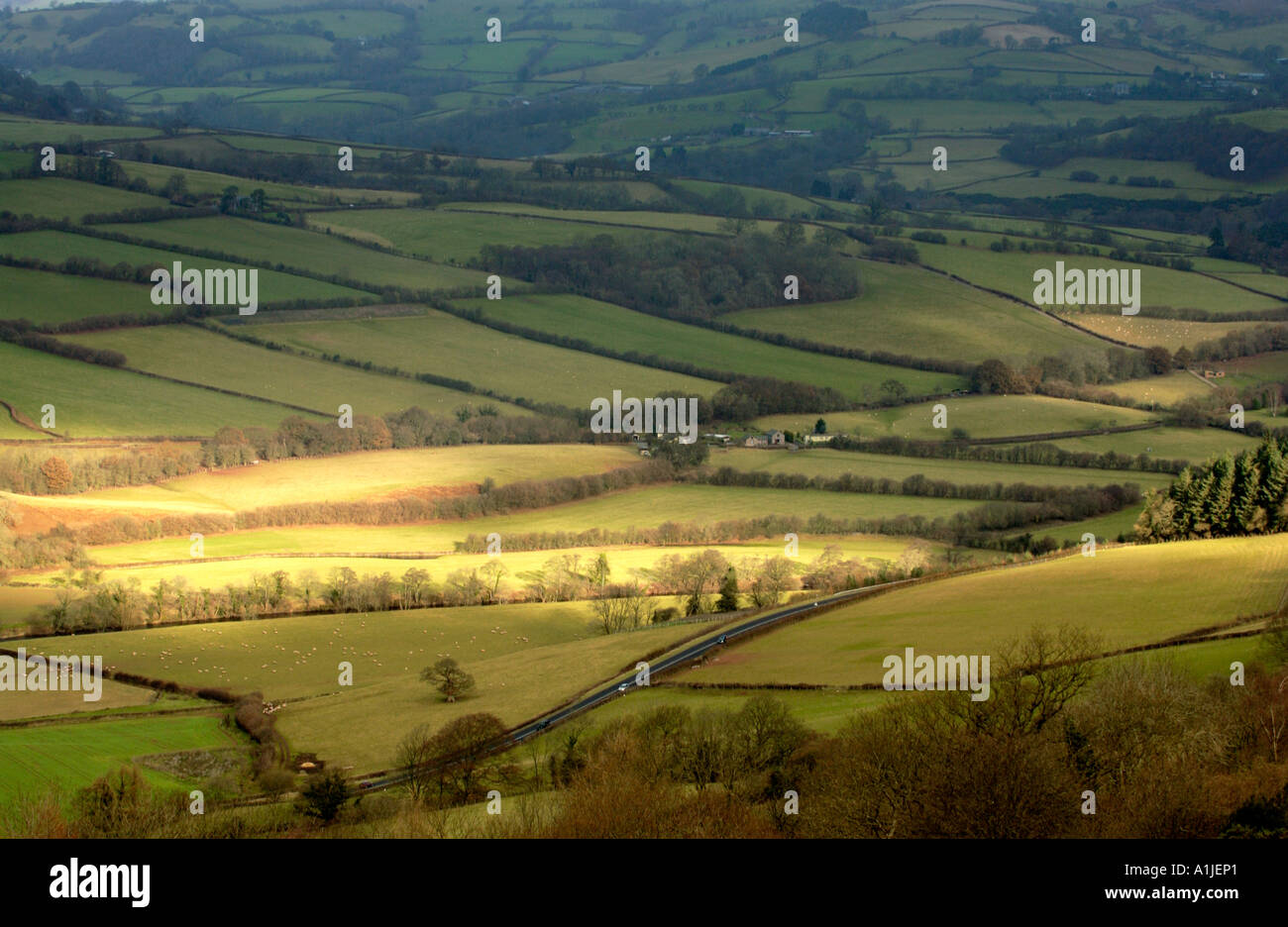 Ver más tierras de cultivo, resaltada en el sol de invierno, en el curso alto del río Usk Valley, cerca de Brecon Powys en Gales UK Foto de stock