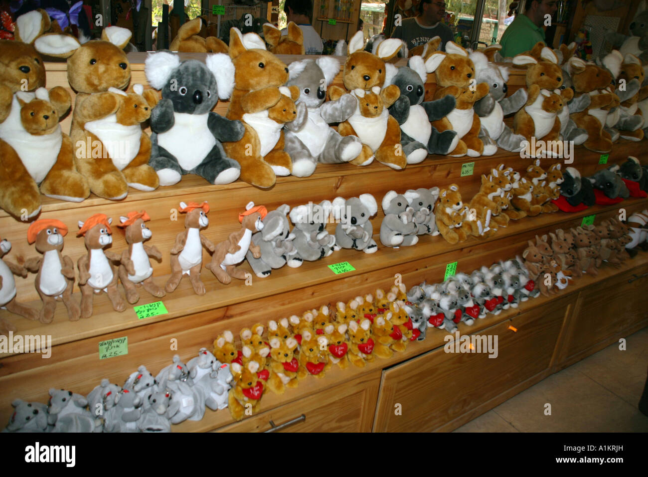Una tienda de venta de souvenirs y muñecos de peluche Koala canguro  Fotografía de stock - Alamy