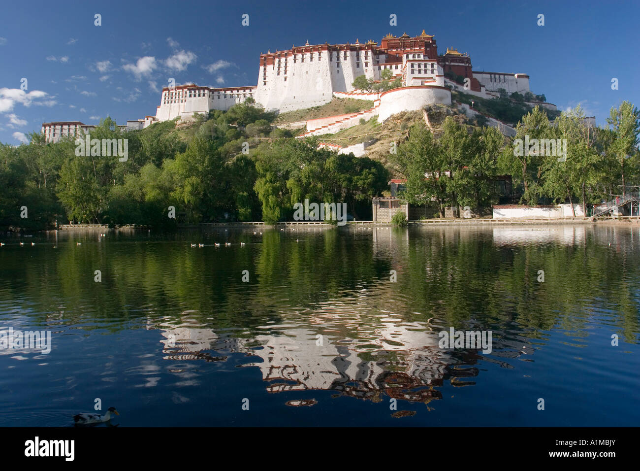 Palacio de Potala, Lhasa, Tíbet Foto de stock
