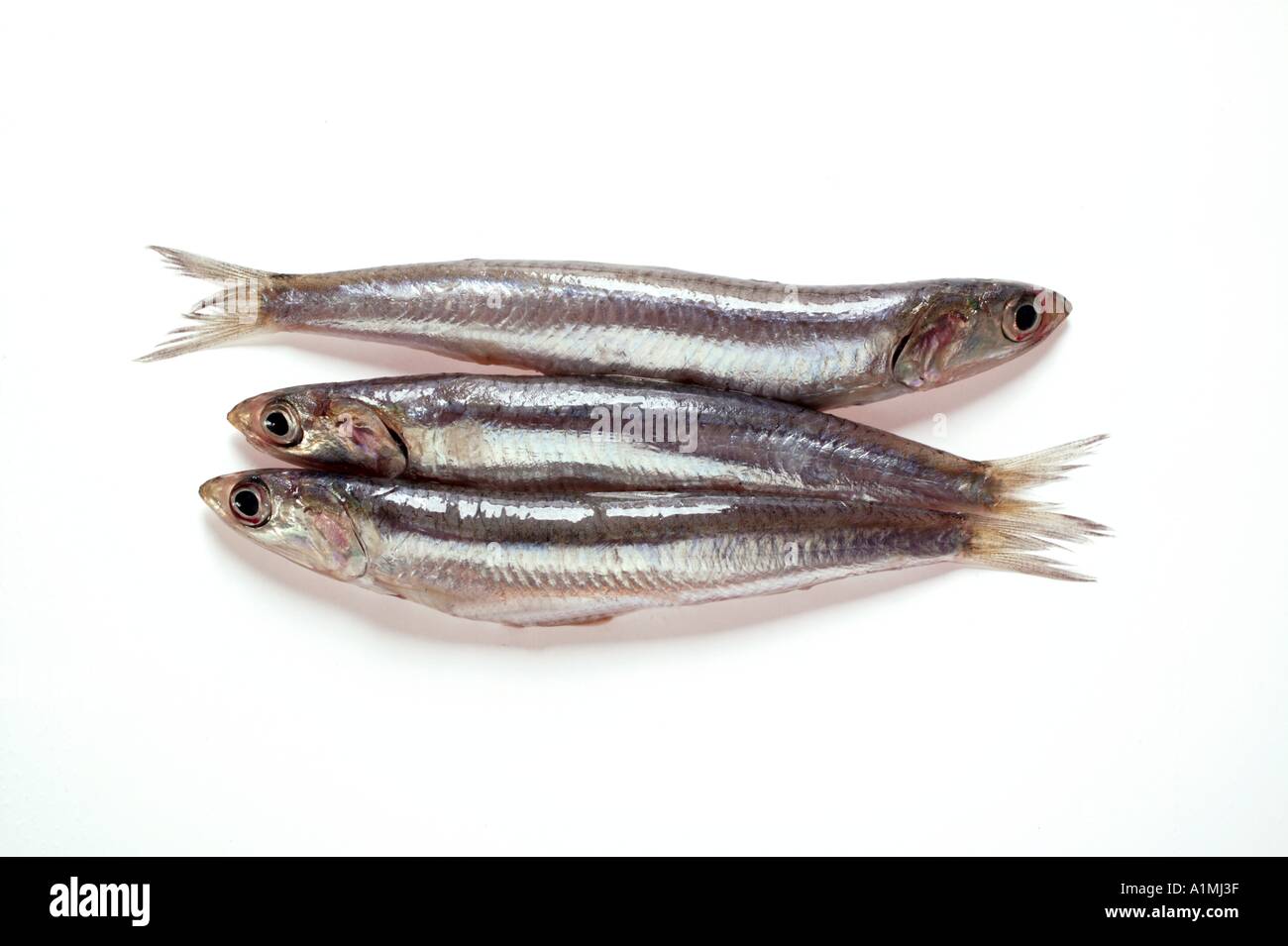 2 sardinas fotografías e imágenes de alta resolución - Alamy