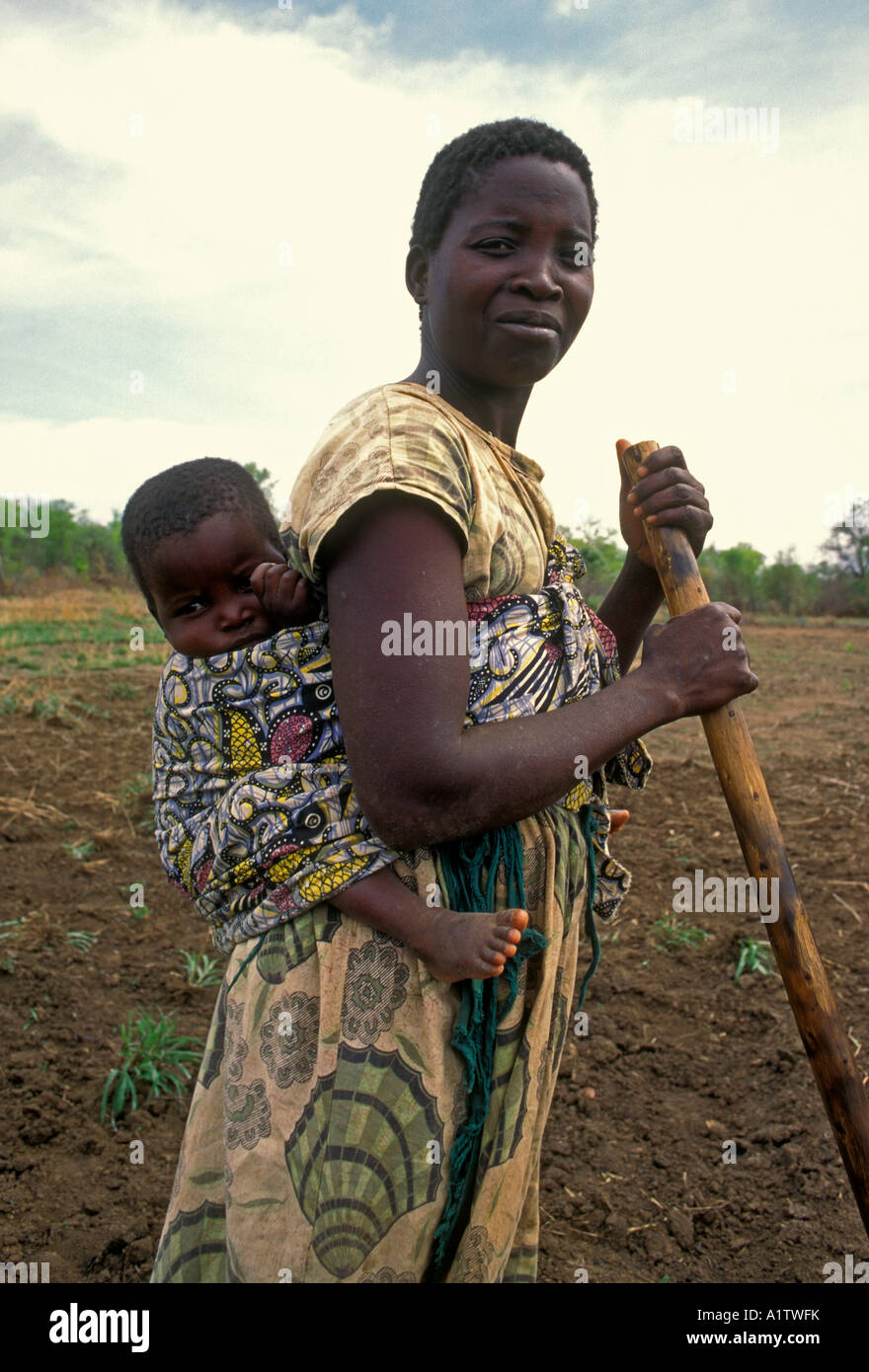 Los Ciudadanos De Zimbabwemujer De Zimbabwe La Mujer Adulta La Madre Y El Niño Llevando El 6629