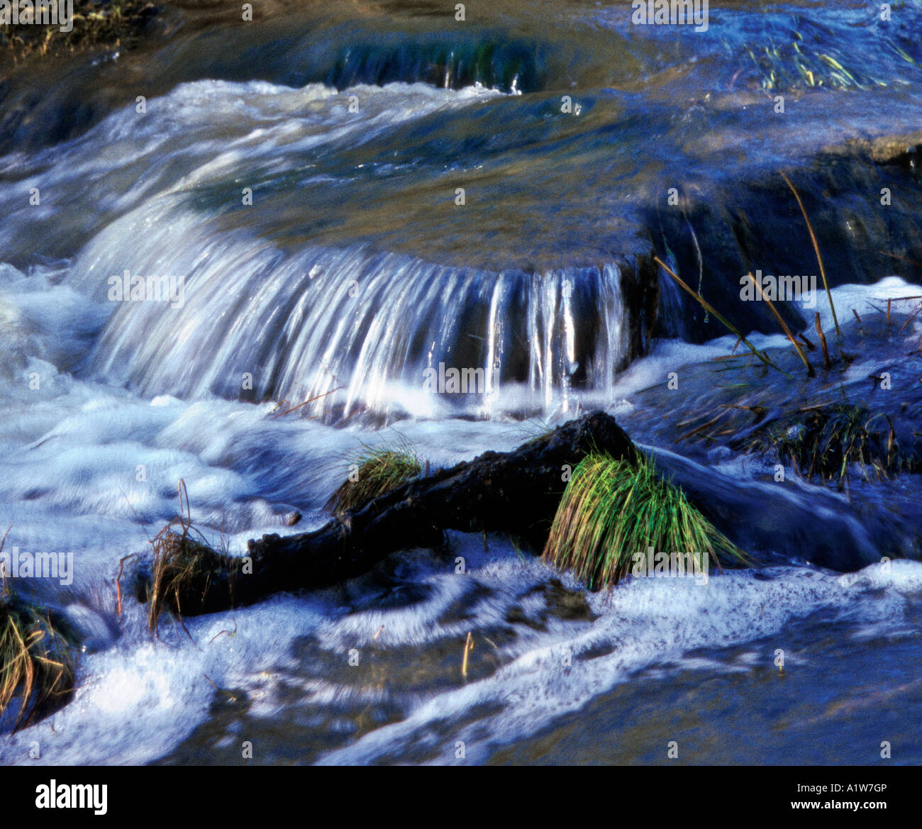 San Diego río que fluye por encima de una roca en Mission Trails Regional Park de San Diego, California, EE.UU. Foto de stock