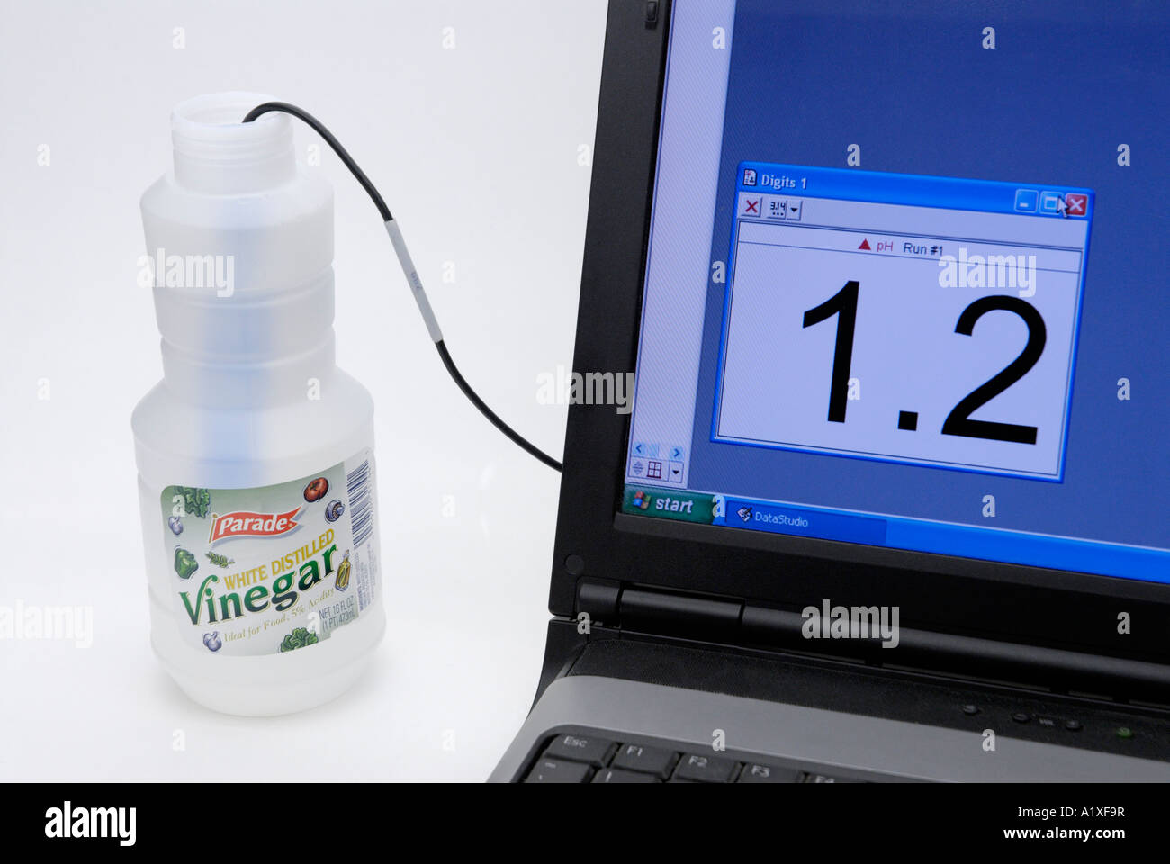 Sensor Digital de pH mide el pH de un ácido, el ácido acético, vinagre Foto de stock