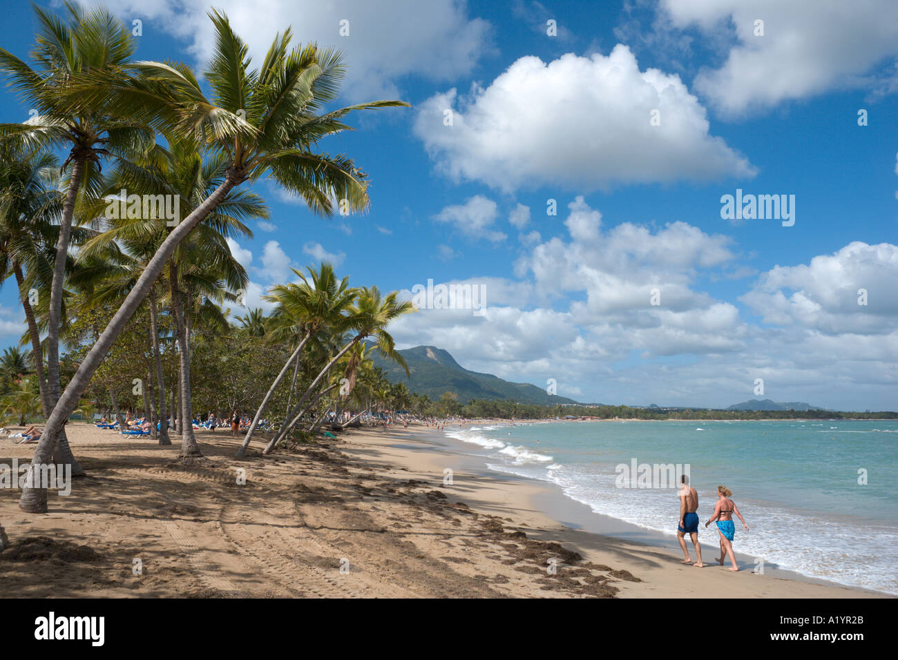 Playa Dorada, Puerto Plata, Costa Norte, República Dominicana, El Caribe  Fotografía de stock - Alamy